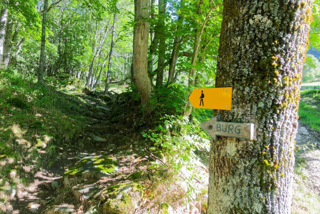 Fieschertal, Bürghütte (31.08.2025)