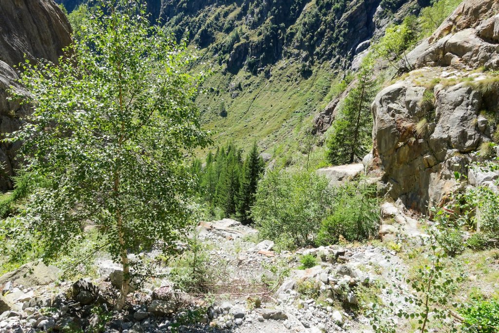 Fieschertal, Bürghütte (31.08.2025)