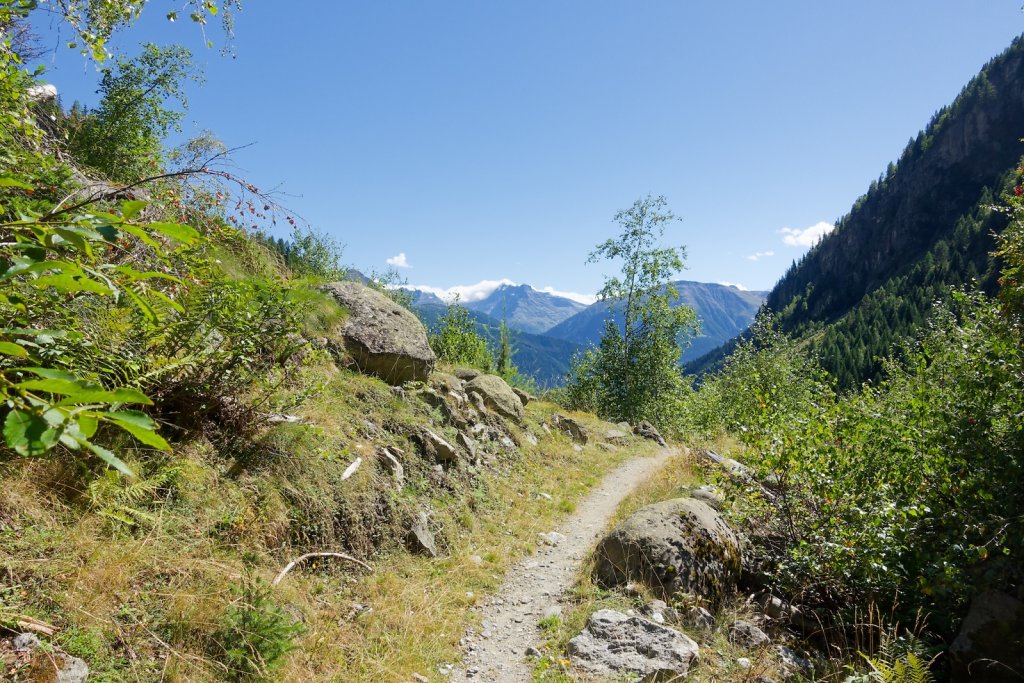 Fieschertal, Bürghütte (31.08.2025)