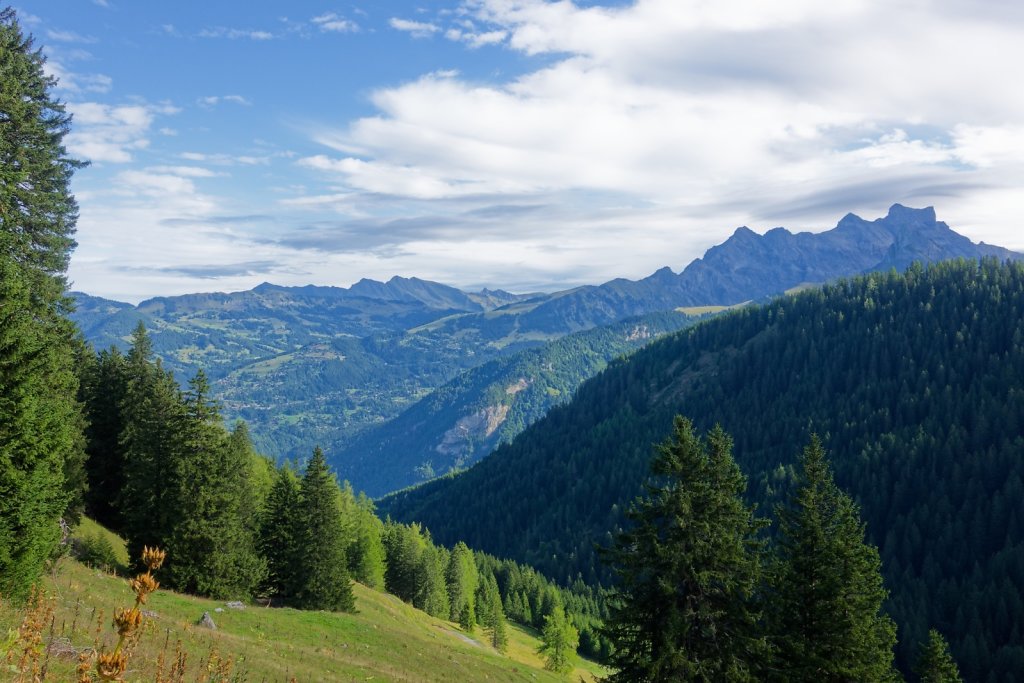 Javerne, Cabane de la Tourche (03.09.2025)
