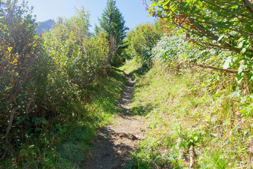 Javerne, Cabane de la Tourche (03.09.2025)