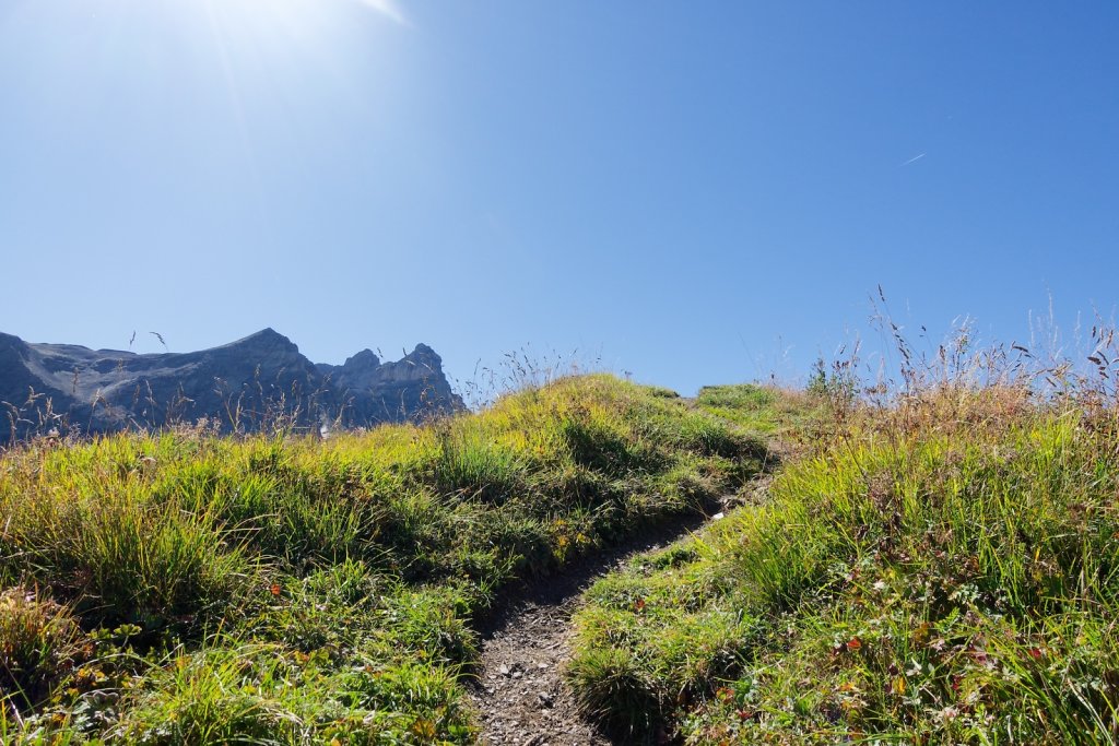 Javerne, Cabane de la Tourche (03.09.2025)